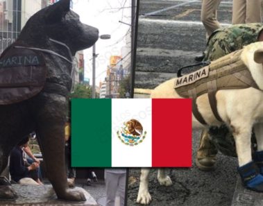 En México y Japón se han hecho estatuas en honor a Frida y los otros perros rescatistas
