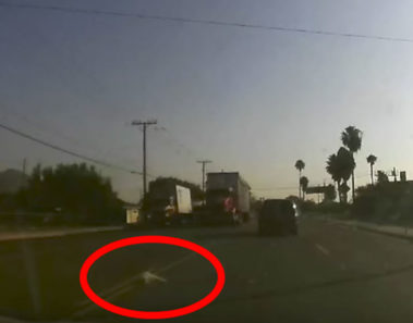 Hombre frena su auto al ver algo raro en la vía, cuando se acerca entiende lo terrible