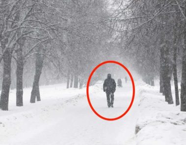 Joven de 18 años camina 3 kilómetros en la tormenta de nieve para una entrevista de trabajo. Pero algo pasó en el camino que cambia su vida