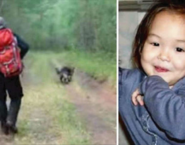 Niña de 4 años desapareció, 11 días después el perro pide que lo sigan y esto fue lo que encontraron
