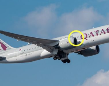 Piloto da la vuelta bruscamente y una familia es expulsada del avión – la razón deja a la cabina en shock