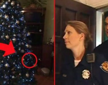 2 policías se llevan una gran sorpresa al irrumpir en la casa equivocada: ”Era el destino que ocurriera así”