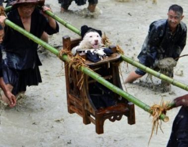 El pueblo en el que el perro es un Dios