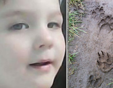 Niño de 2 años desaparece en el bosque y la policía sigue unas misteriosas pisadas para resolver el caso