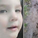 Niño de 2 años desaparece en el bosque y la policía sigue unas misteriosas pisadas para resolver el caso