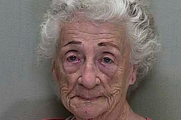 Una anciana fue arrestada por entrenar a sus 65 gatos para robar joyas de los vecinos
