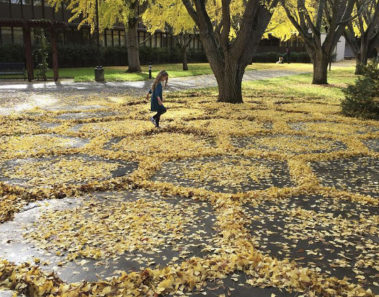 Cada año un empleado de la universidad rastrilla hojas creando impresionantes obras de arte