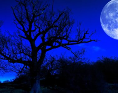Así afectará la ‘Luna Azul’ de Enero a cada uno de los signos del zodiaco