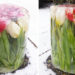 Estas fotos de tulipanes están causando furor en la red – al descubrir por qué quedo boquiabierta