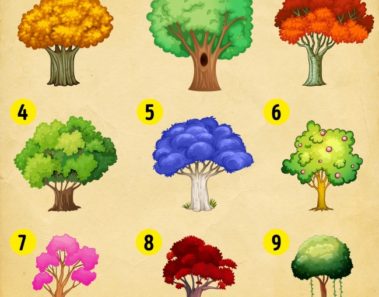 Dime cuál árbol te gusta más y te diré un gran secreto de tu personalidad y futuro