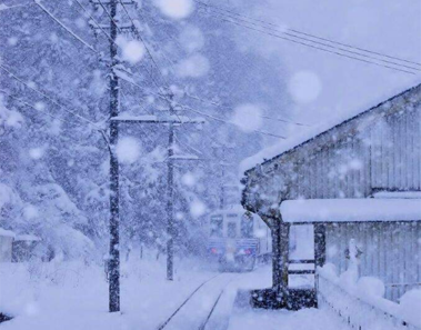 Un tren ruso para todos los días en mitad de la nada por esta conmovedora razón