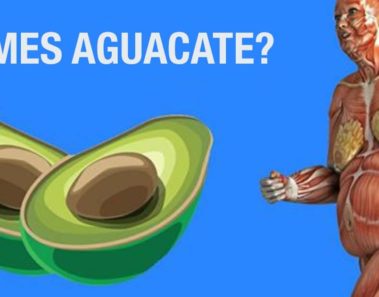 Esto ocurre en tu cuerpo cuando comes aguacate a diario