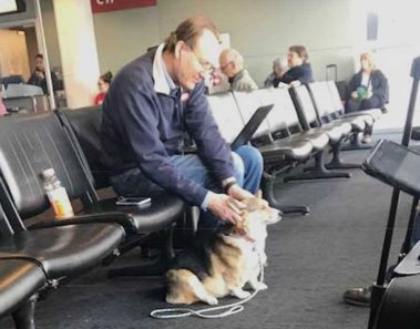 Perra se acerca a extraño en aeropuerto, entonces él revela secreto que deja a dueña conmocionada