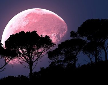 luna rosa