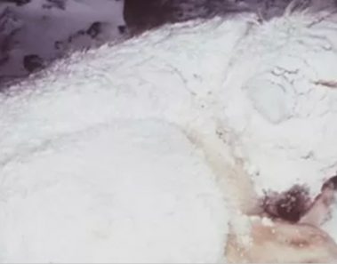 Hallan un “Perro congelado en la nieve” y corren a ayudarlo – descubren que esconde algo debajo