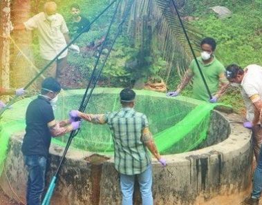 Nipah - El virus asiático que amenaza a la humanidad