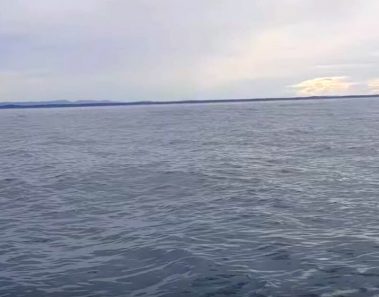 Familia navegaba por el océano, de pronto ven que algo extraño está ocurriendo en el agua…