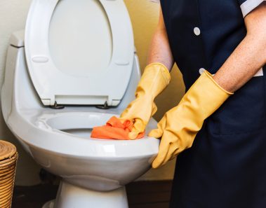 Con este truco tan sencillo lograrás que tu baño se mantenga limpio y fresco