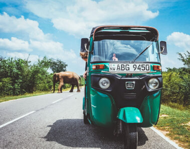 ¿Cómo alquilar tuk tuk en Sri Lanka?