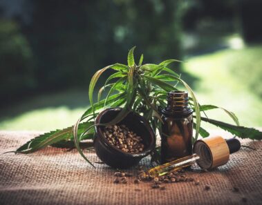 Conoce las mejores semillas de marihuana