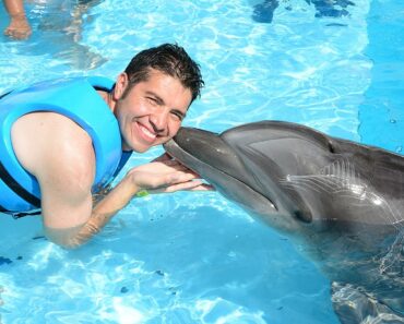 Vive una mágica experiencia con delfines en el Parque Chankanaab