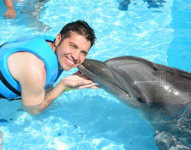 Vive una mágica experiencia con delfines en el Parque Chankanaab